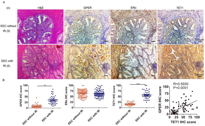 J Cancer Image