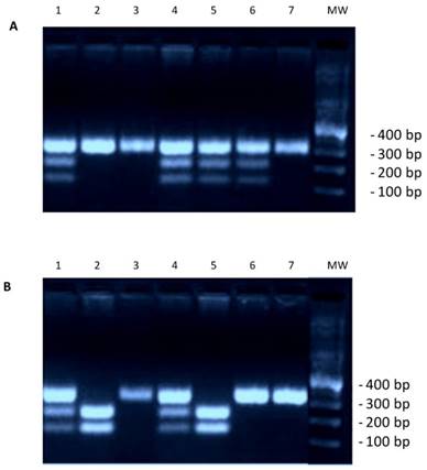 J Cancer Image