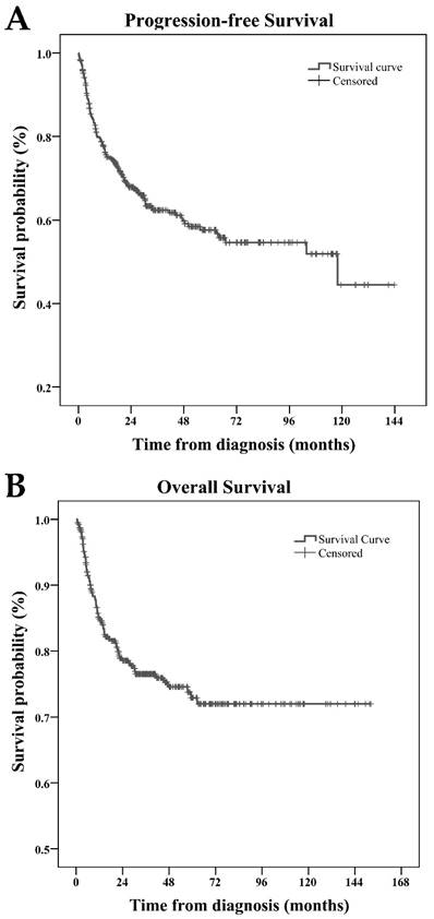 J Cancer Image