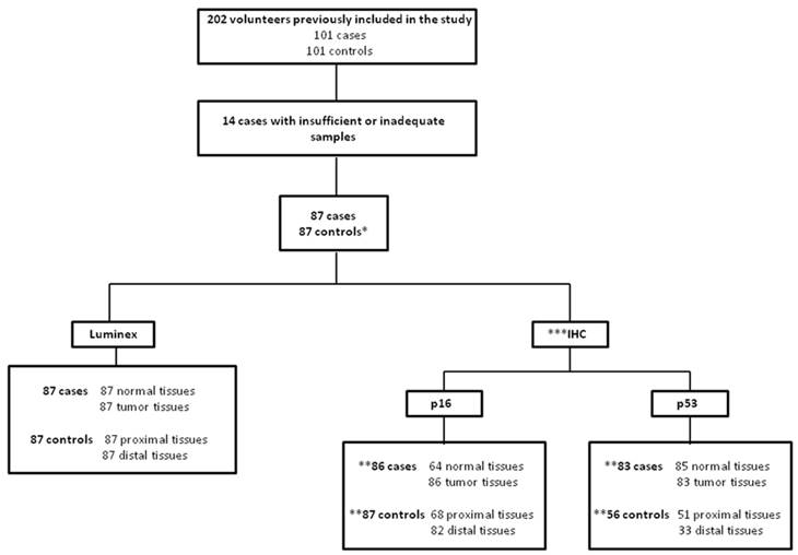 J Cancer Image