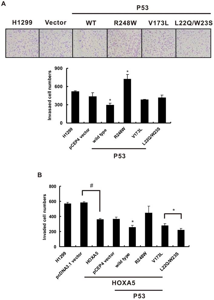 J Cancer Image