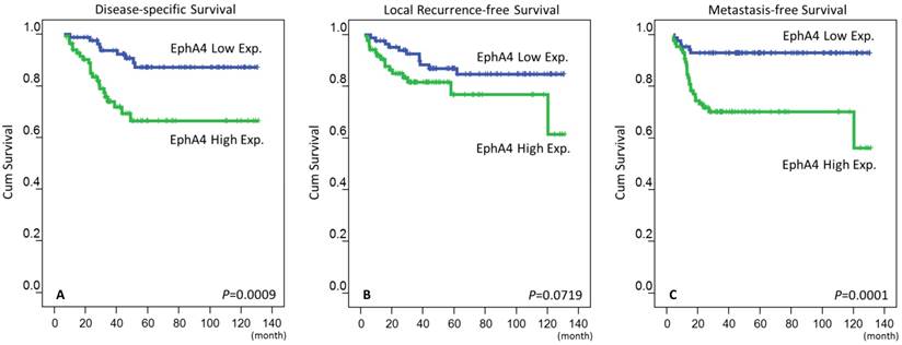 J Cancer Image