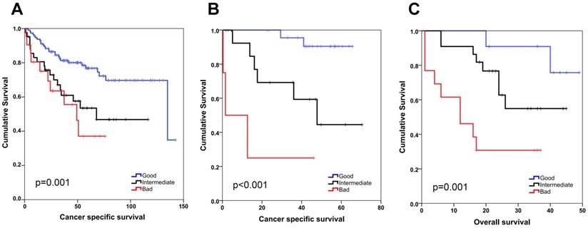 J Cancer Image