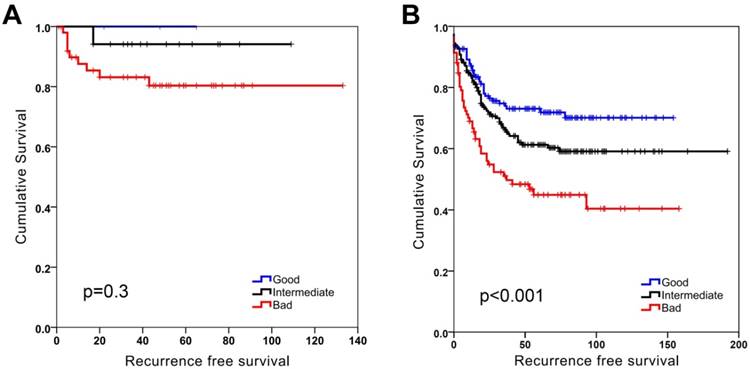 J Cancer Image