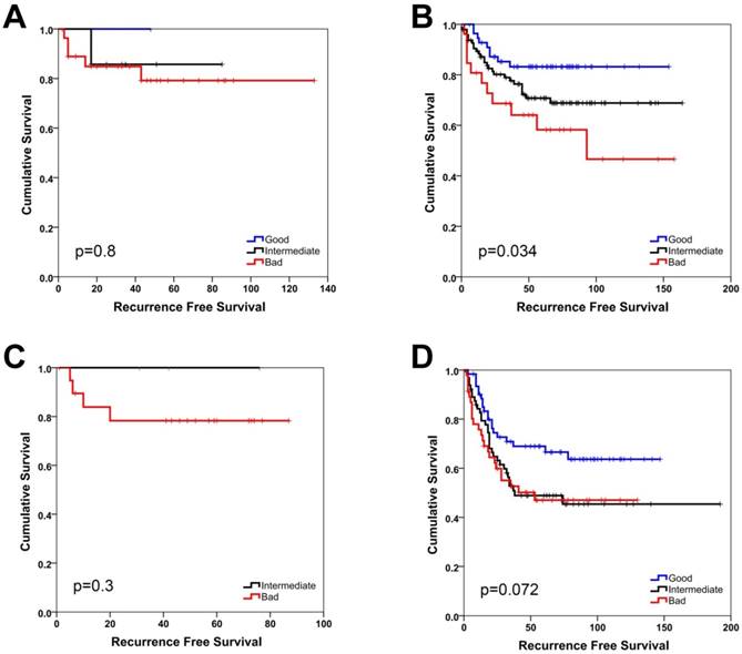 J Cancer Image