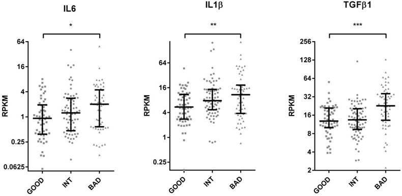 J Cancer Image