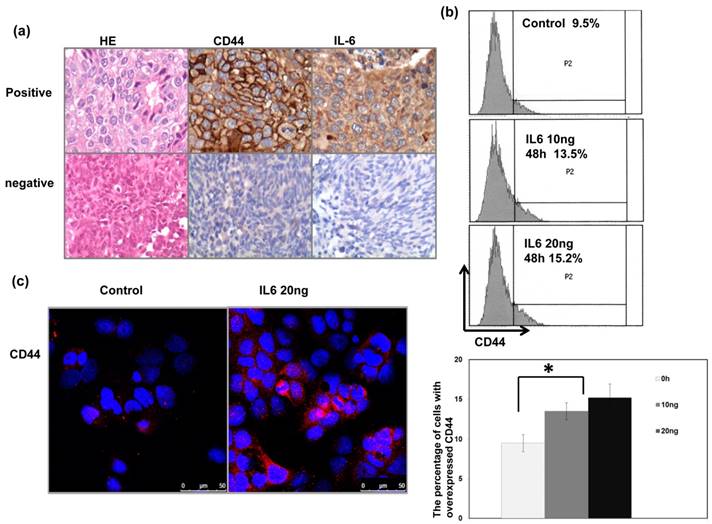 J Cancer Image