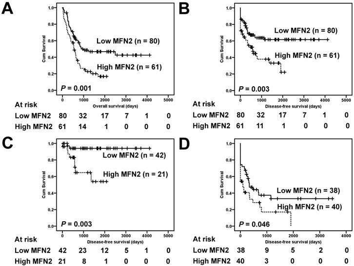 J Cancer Image