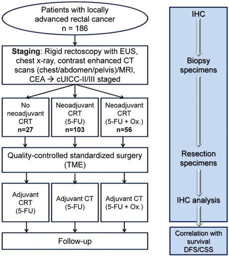 J Cancer Image