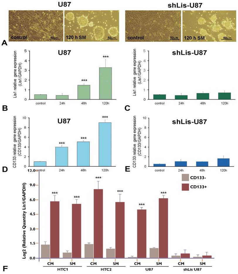 J Cancer Image