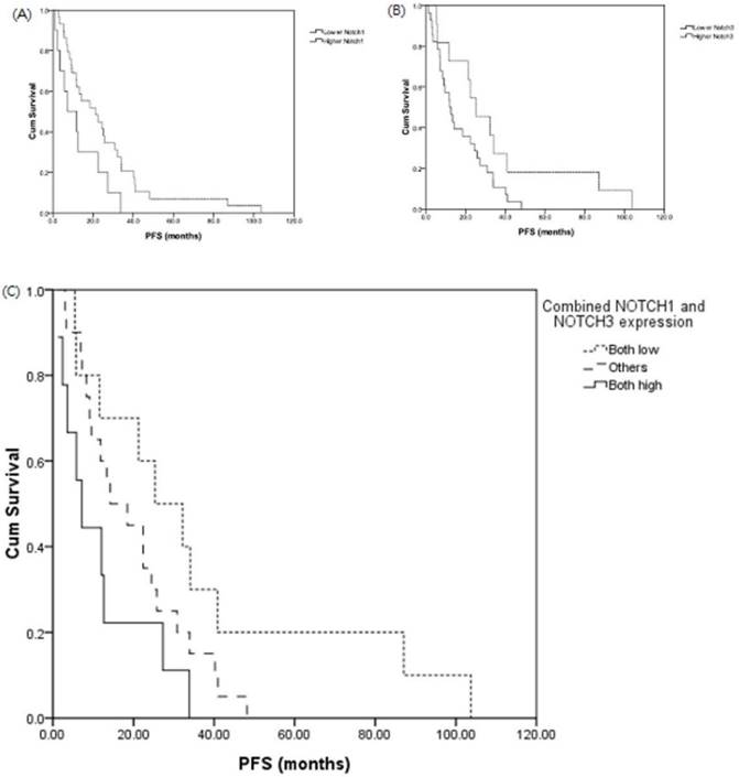 J Cancer Image