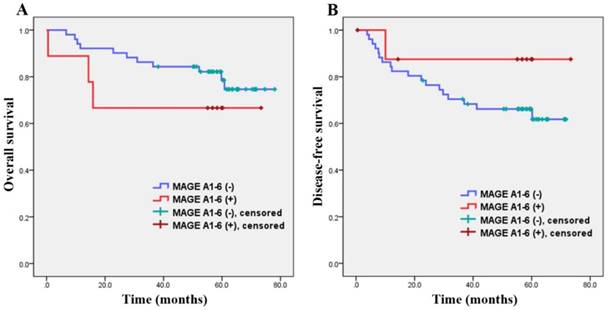 J Cancer Image