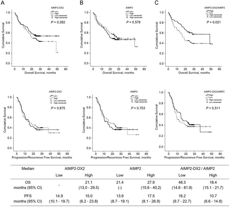 J Cancer Image