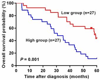 J Cancer Image