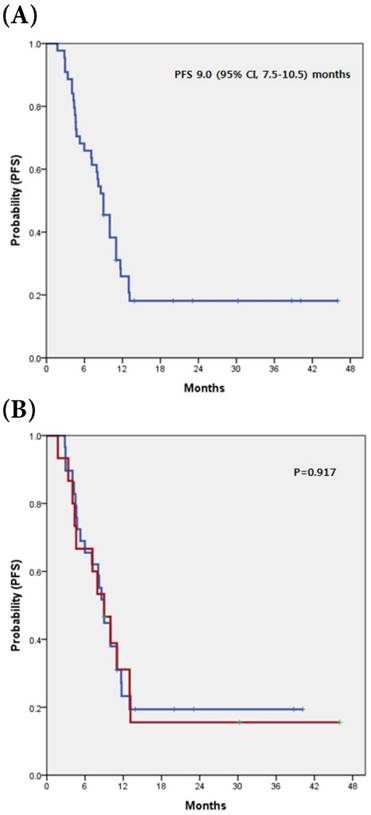 J Cancer Image