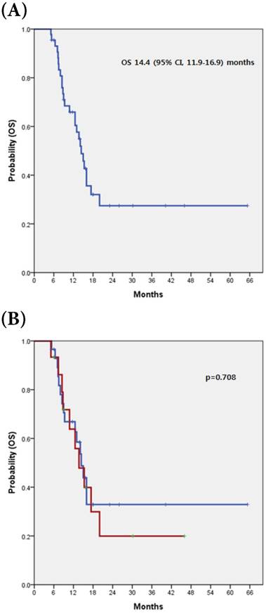 J Cancer Image