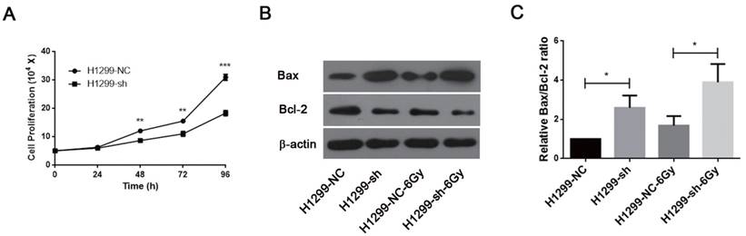 J Cancer Image