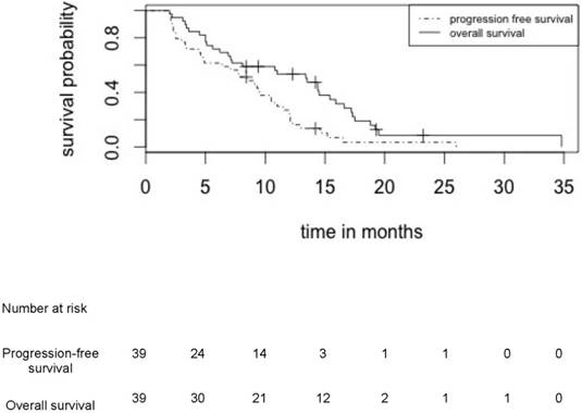 J Cancer Image