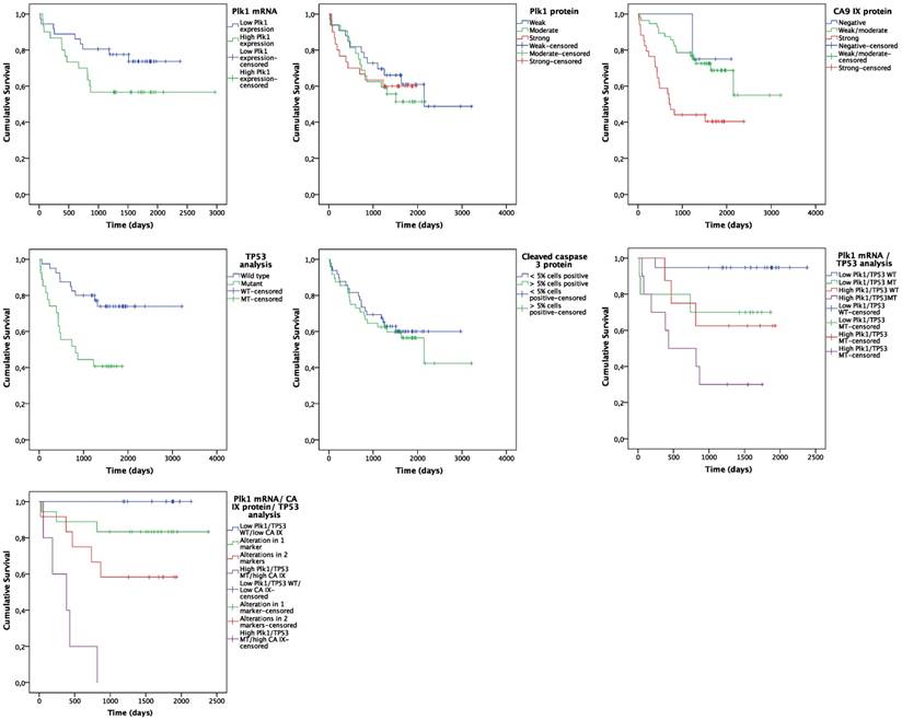 J Cancer Image