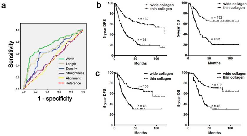 J Cancer Image