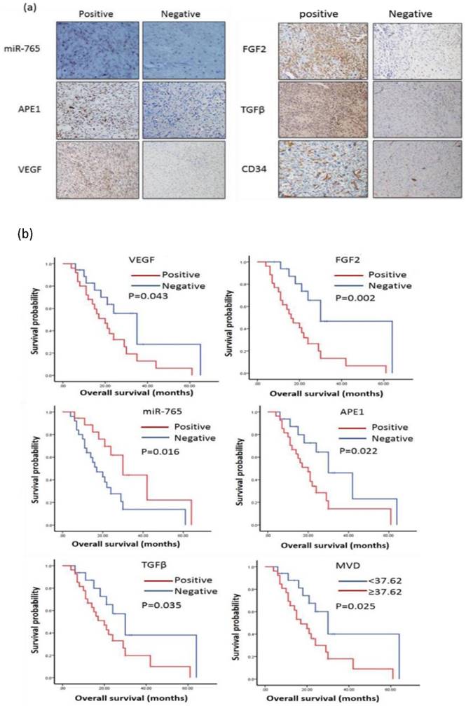 J Cancer Image