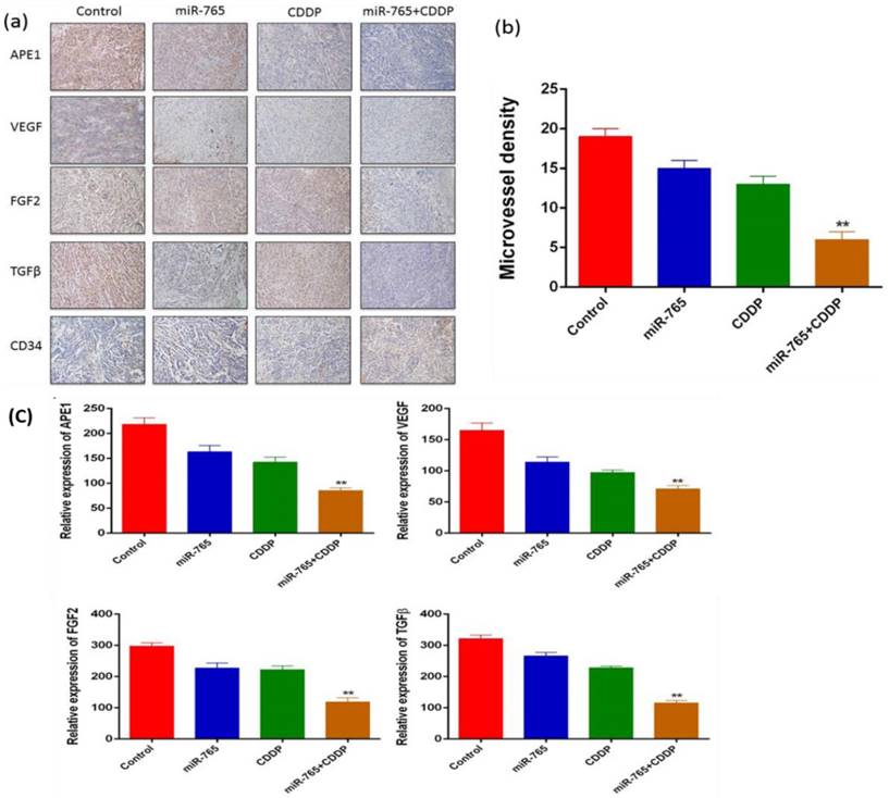 J Cancer Image