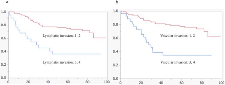 J Cancer Image