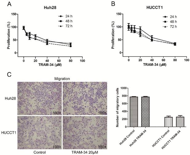 J Cancer Image