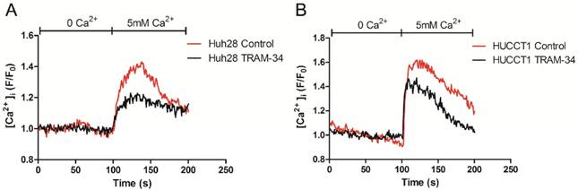 J Cancer Image