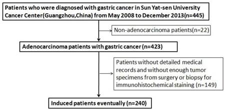 J Cancer Image