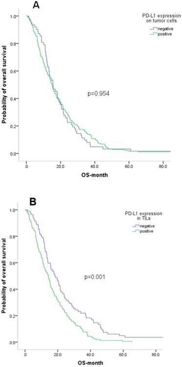 J Cancer Image