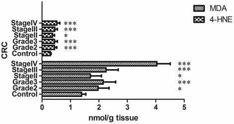 J Cancer Image