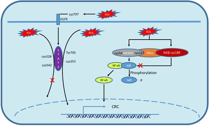 J Cancer Image