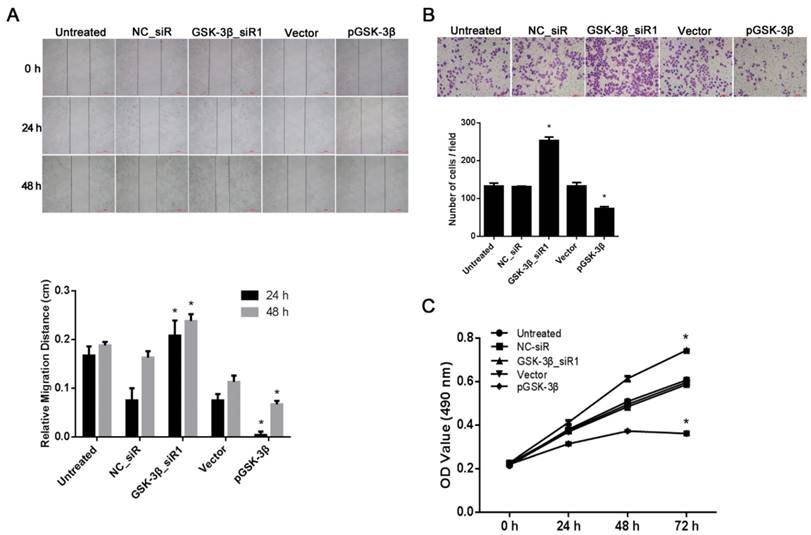 J Cancer Image