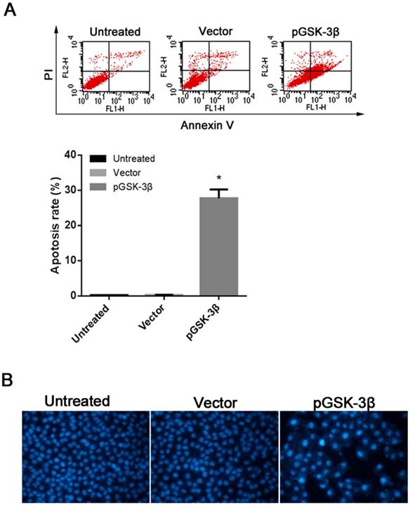 J Cancer Image