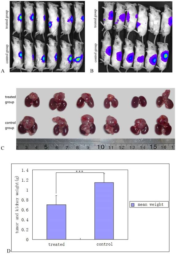 J Cancer Image