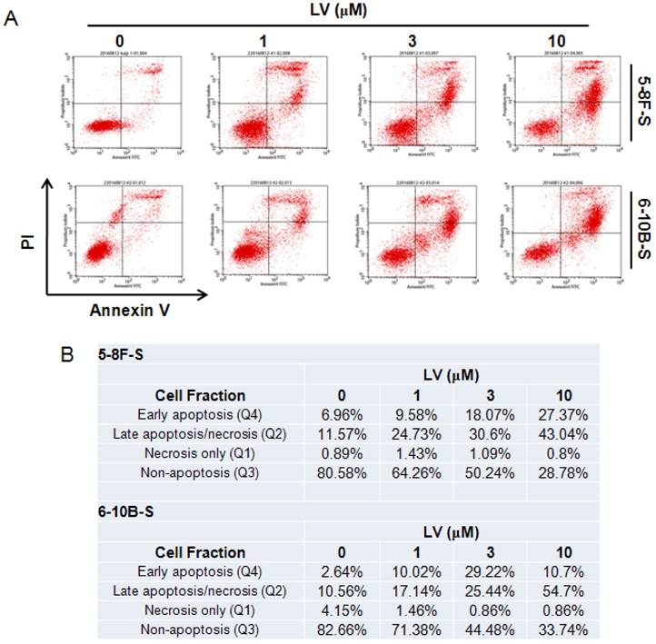 J Cancer Image