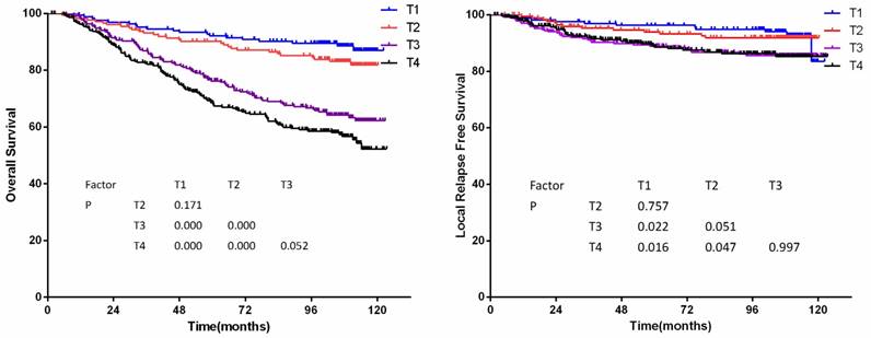 J Cancer Image