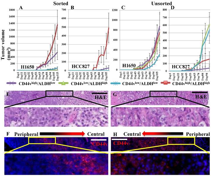 J Cancer Image