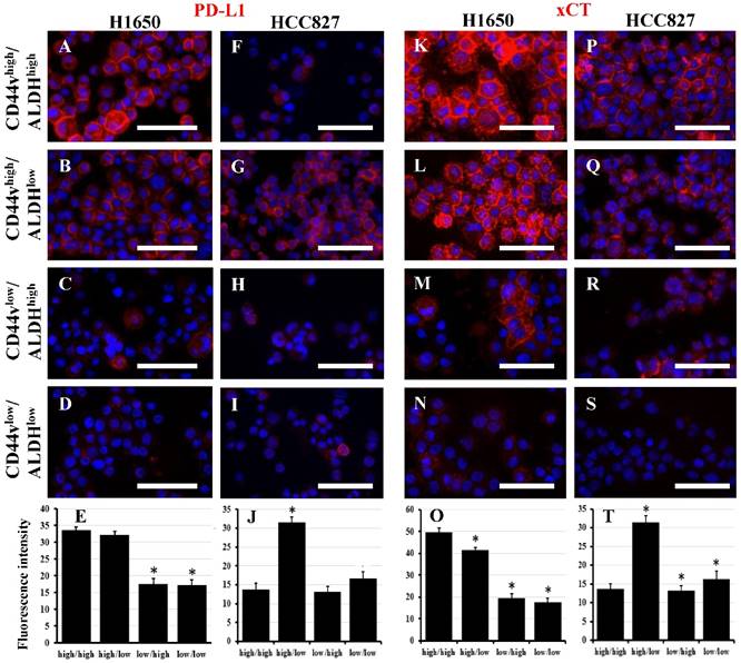 J Cancer Image