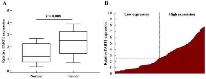 J Cancer Image