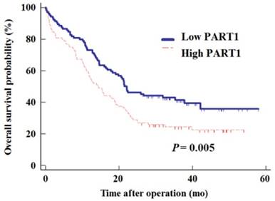 J Cancer Image