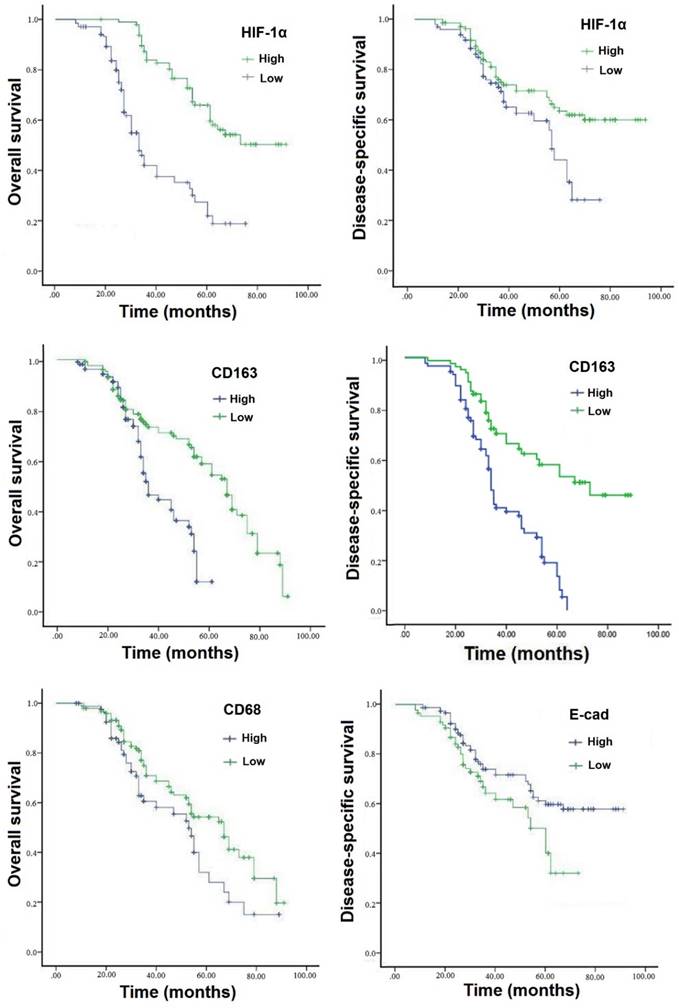 J Cancer Image