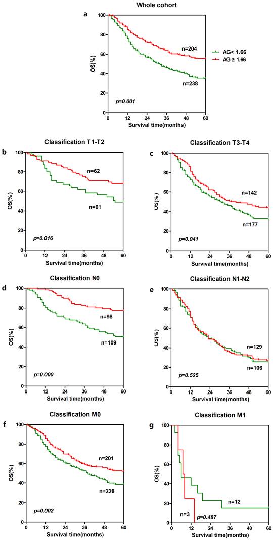 J Cancer Image