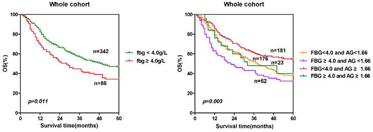 J Cancer Image