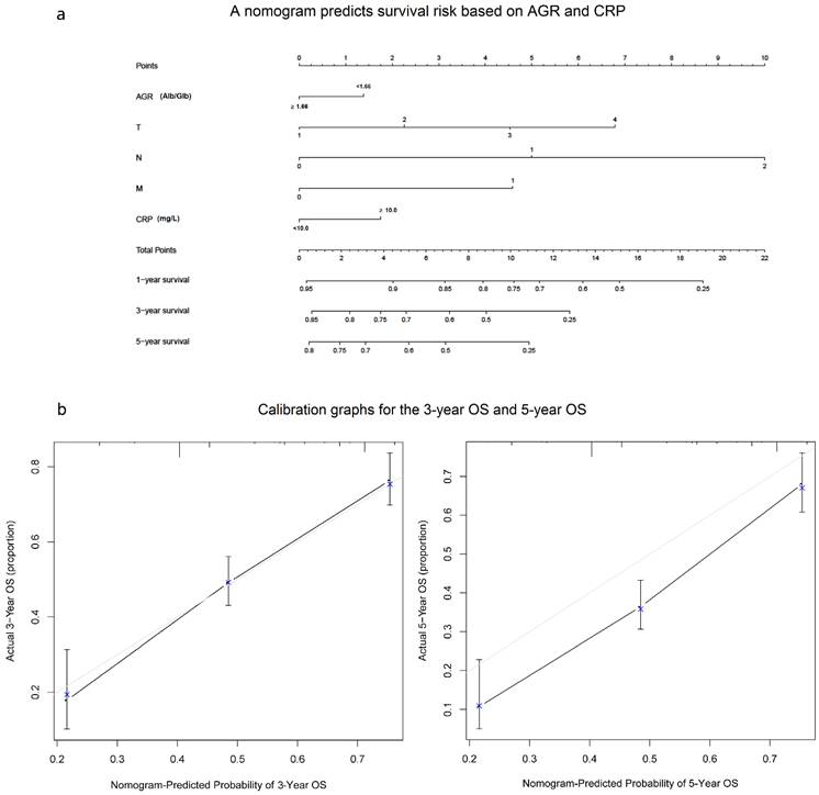 J Cancer Image