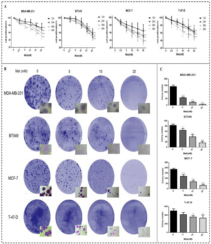 J Cancer Image