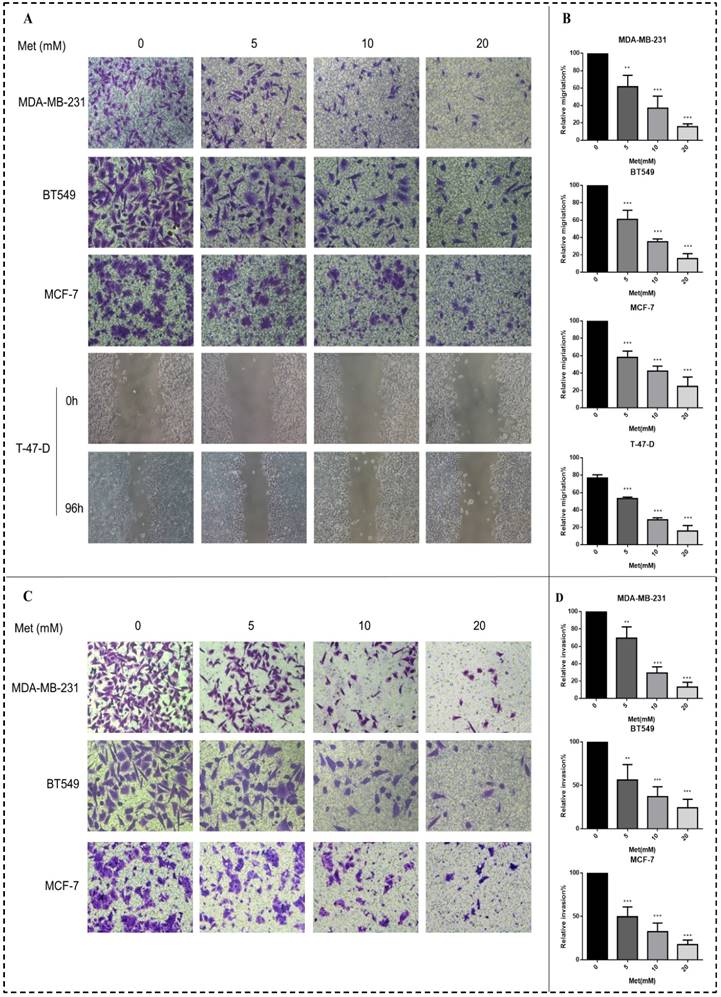 J Cancer Image