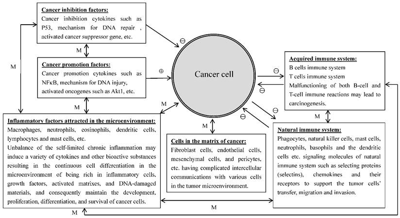 J Cancer Image