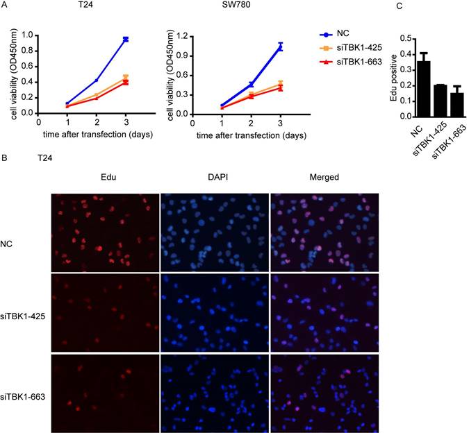 J Cancer Image